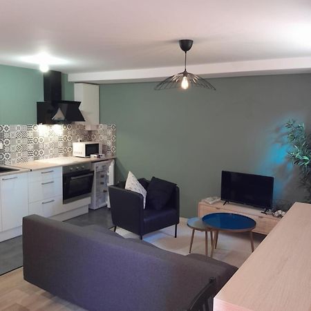 Appartement Proche Gare Сен-Бриё Экстерьер фото